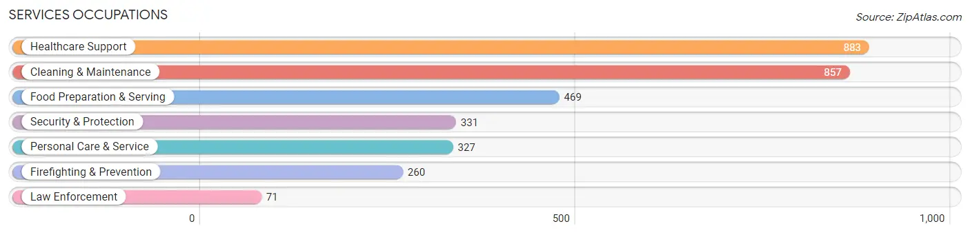 Services Occupations in Zip Code 15221