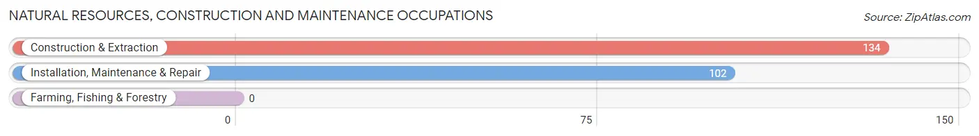 Natural Resources, Construction and Maintenance Occupations in Zip Code 15223