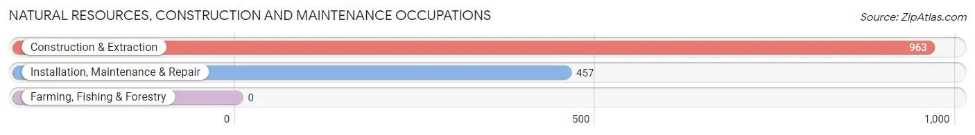 Natural Resources, Construction and Maintenance Occupations in Zip Code 15227