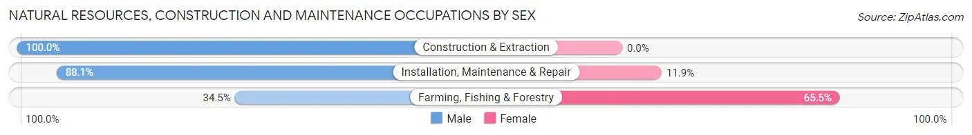 Natural Resources, Construction and Maintenance Occupations by Sex in Zip Code 15235