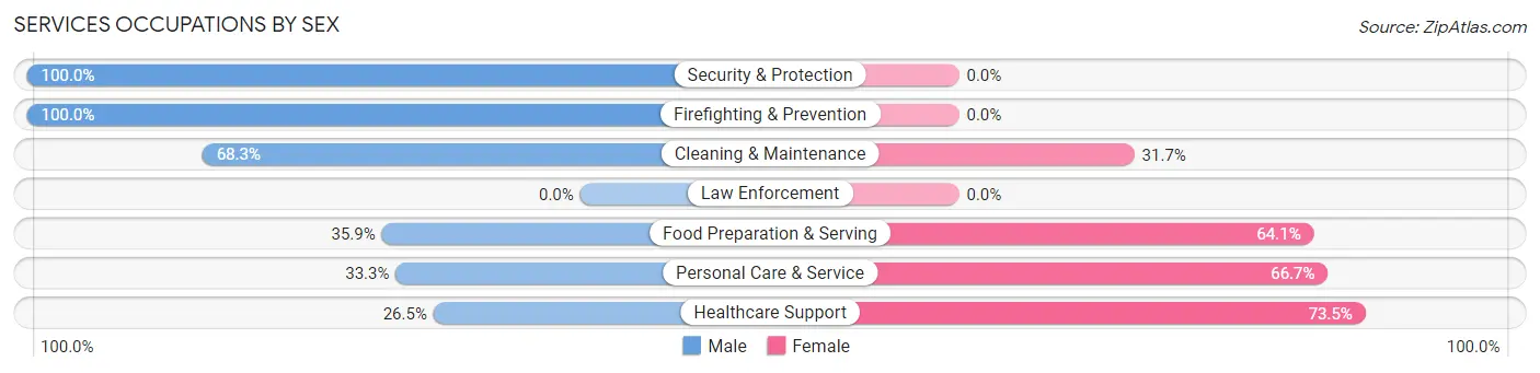 Services Occupations by Sex in Zip Code 15243