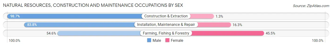 Natural Resources, Construction and Maintenance Occupations by Sex in Zip Code 15312