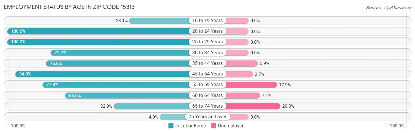 Employment Status by Age in Zip Code 15313