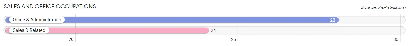 Sales and Office Occupations in Zip Code 15313