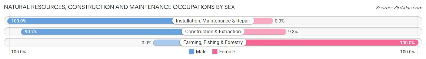 Natural Resources, Construction and Maintenance Occupations by Sex in Zip Code 15314