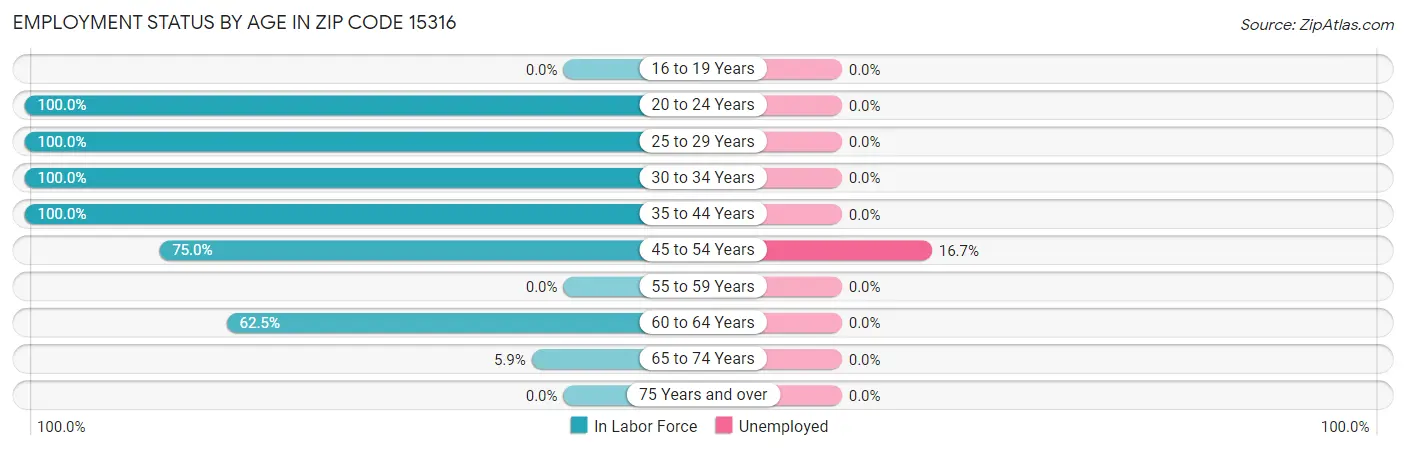 Employment Status by Age in Zip Code 15316
