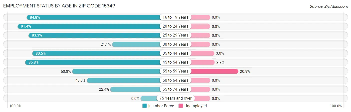 Employment Status by Age in Zip Code 15349