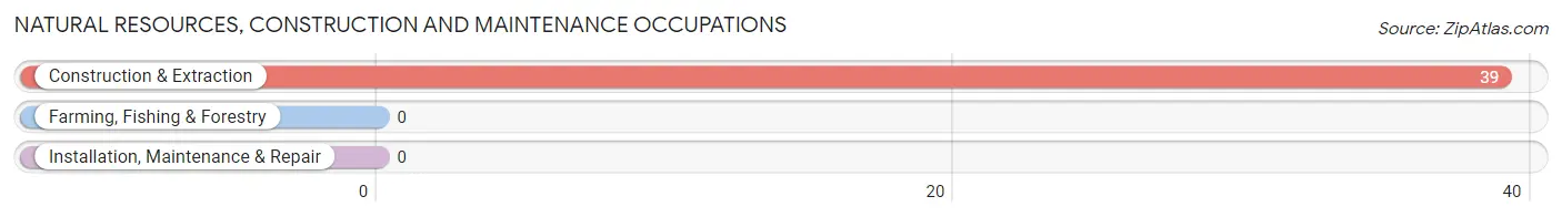 Natural Resources, Construction and Maintenance Occupations in Zip Code 15350