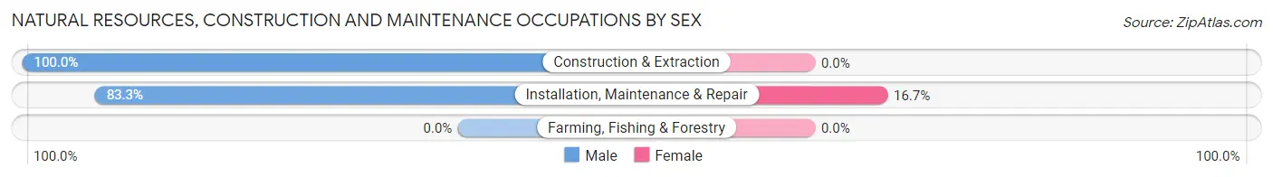 Natural Resources, Construction and Maintenance Occupations by Sex in Zip Code 15364