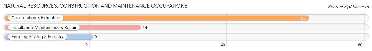 Natural Resources, Construction and Maintenance Occupations in Zip Code 15377