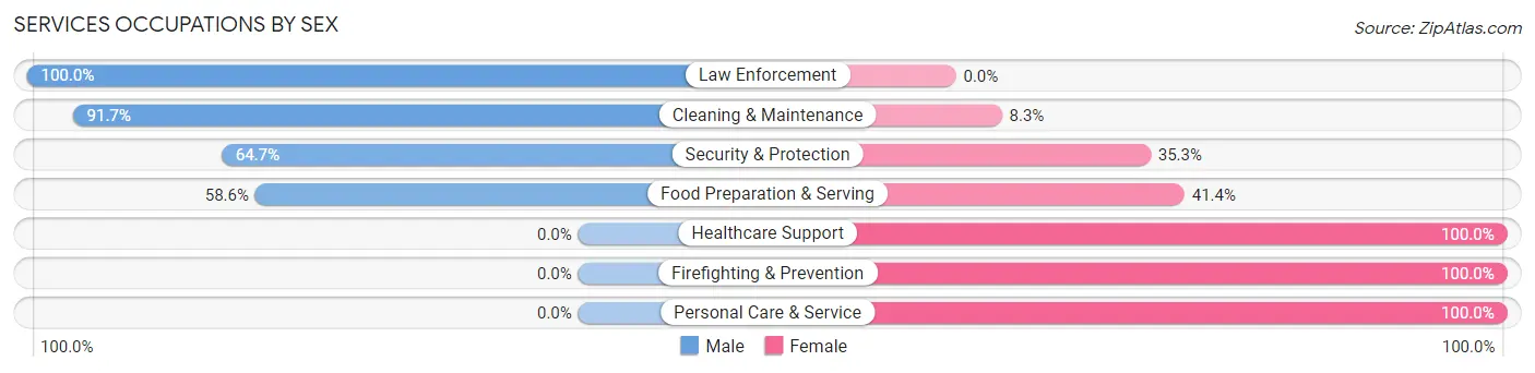 Services Occupations by Sex in Zip Code 15423