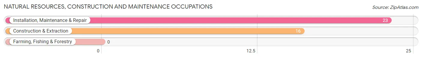 Natural Resources, Construction and Maintenance Occupations in Zip Code 15427