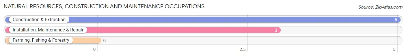 Natural Resources, Construction and Maintenance Occupations in Zip Code 15434