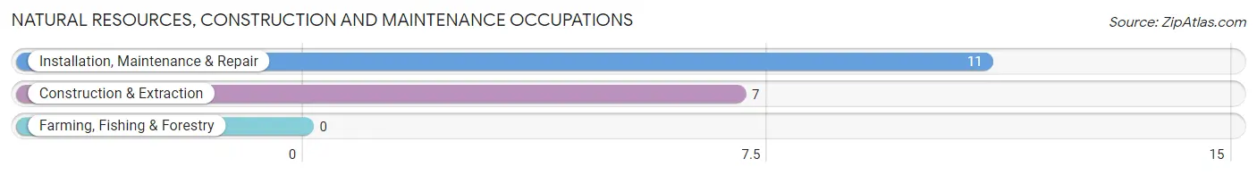 Natural Resources, Construction and Maintenance Occupations in Zip Code 15466