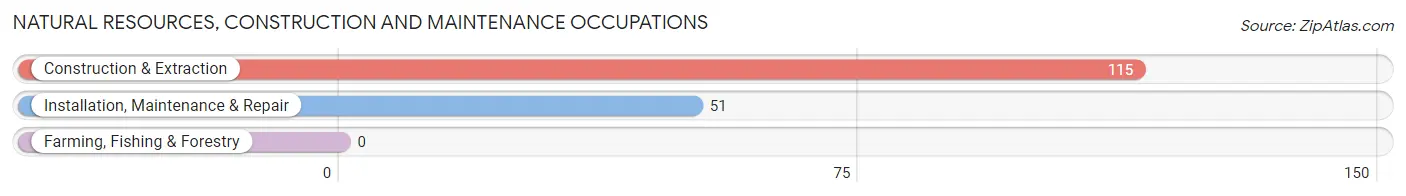 Natural Resources, Construction and Maintenance Occupations in Zip Code 15486