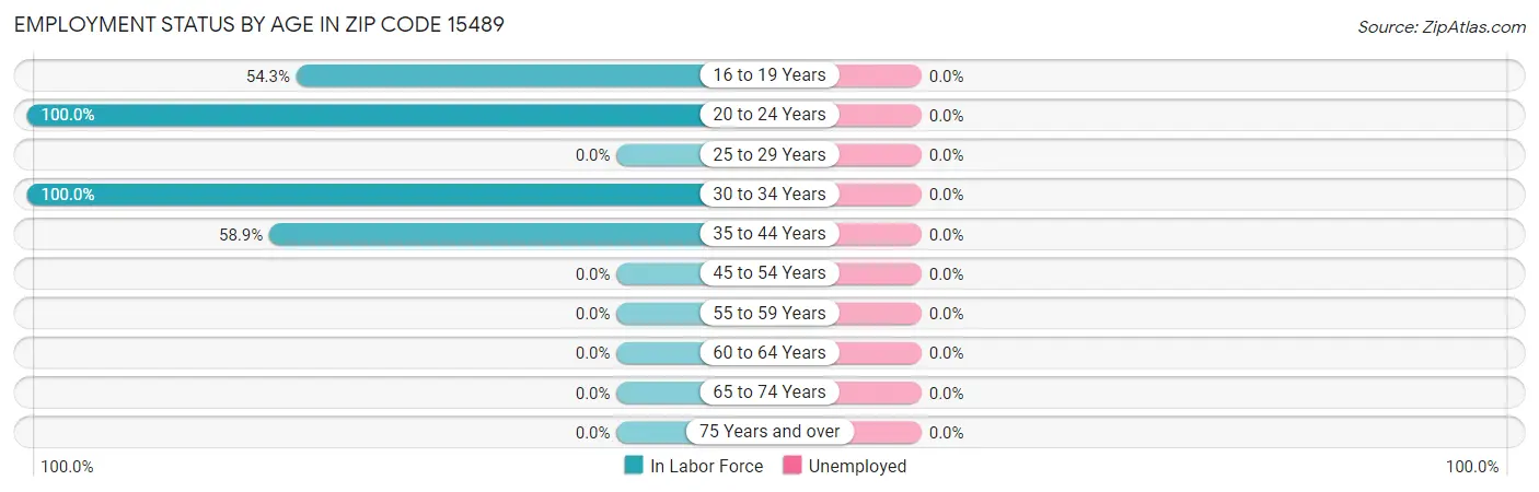 Employment Status by Age in Zip Code 15489