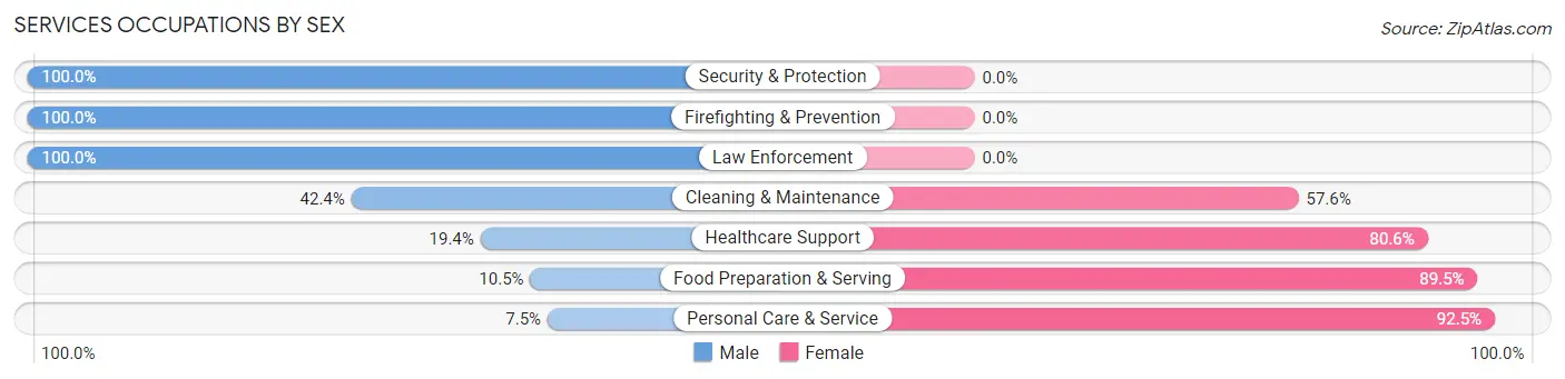 Services Occupations by Sex in Zip Code 15530