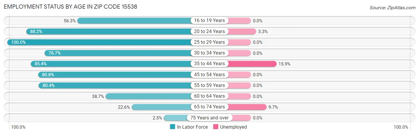 Employment Status by Age in Zip Code 15538