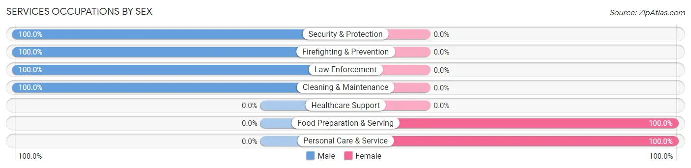 Services Occupations by Sex in Zip Code 15538