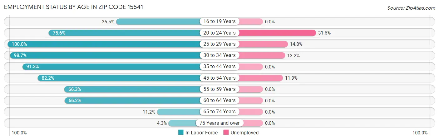 Employment Status by Age in Zip Code 15541