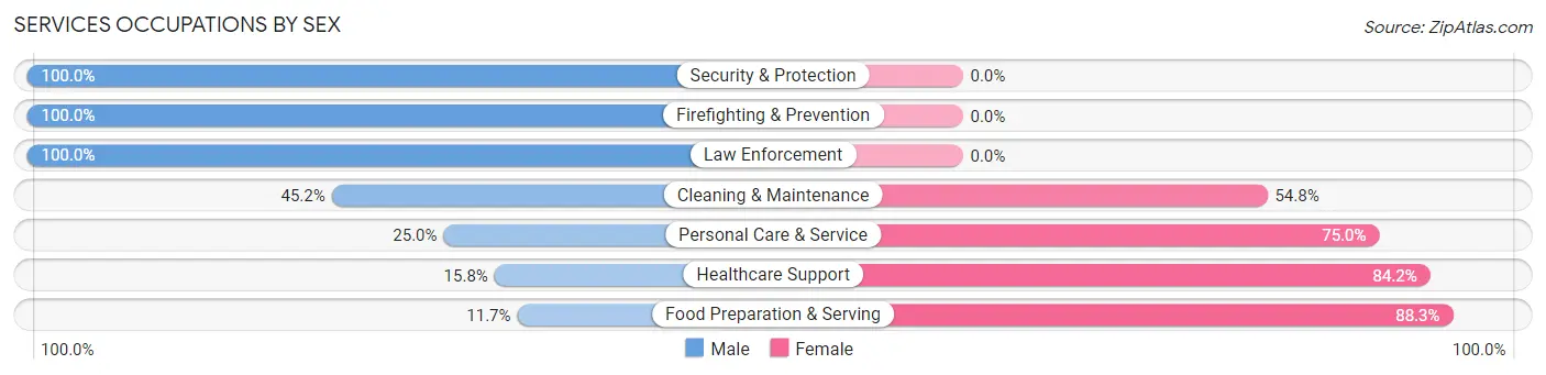 Services Occupations by Sex in Zip Code 15552