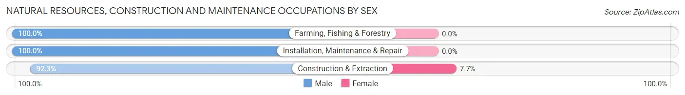 Natural Resources, Construction and Maintenance Occupations by Sex in Zip Code 15554