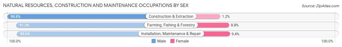 Natural Resources, Construction and Maintenance Occupations by Sex in Zip Code 15557