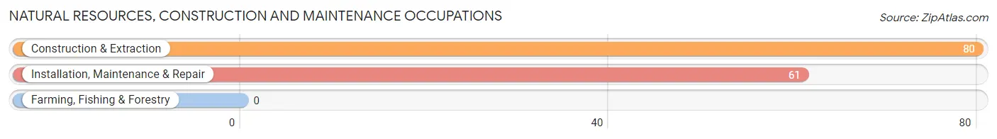 Natural Resources, Construction and Maintenance Occupations in Zip Code 15563