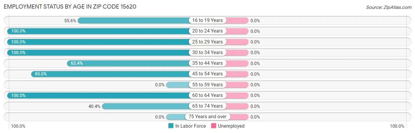 Employment Status by Age in Zip Code 15620