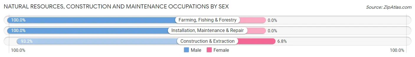 Natural Resources, Construction and Maintenance Occupations by Sex in Zip Code 15632