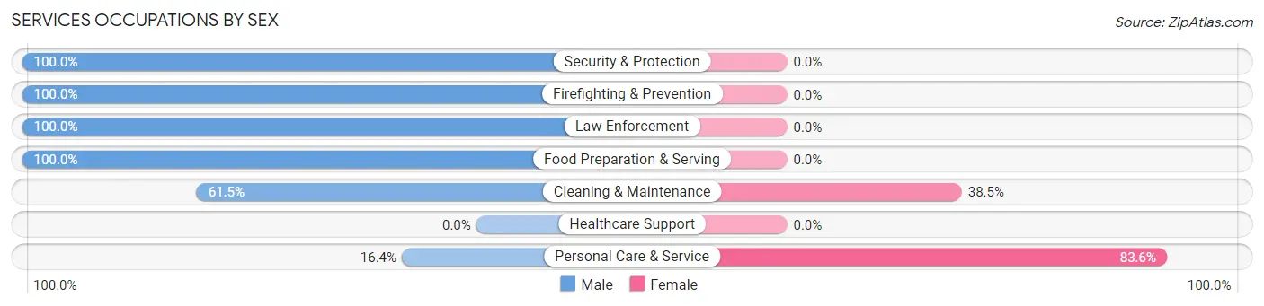 Services Occupations by Sex in Zip Code 15636