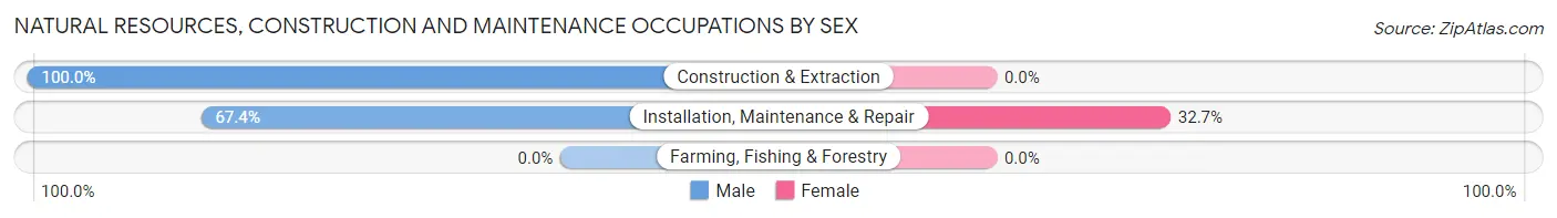Natural Resources, Construction and Maintenance Occupations by Sex in Zip Code 15637