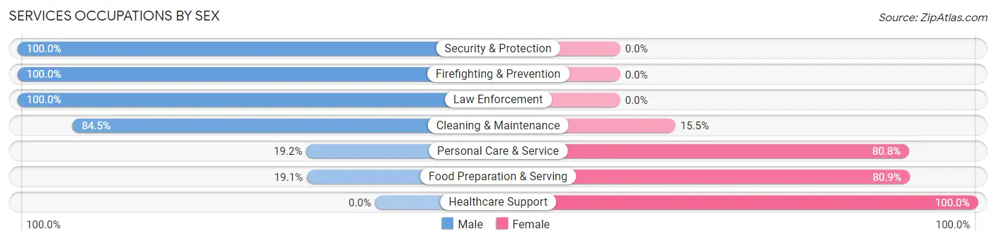 Services Occupations by Sex in Zip Code 15658