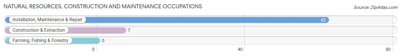 Natural Resources, Construction and Maintenance Occupations in Zip Code 15665