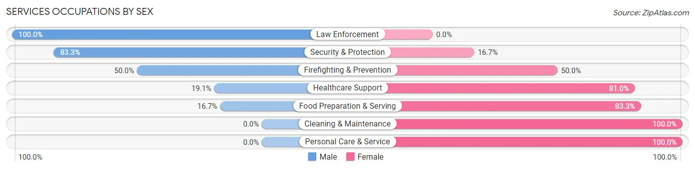 Services Occupations by Sex in Zip Code 15675