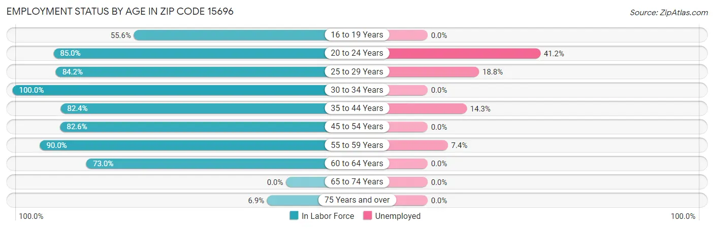 Employment Status by Age in Zip Code 15696