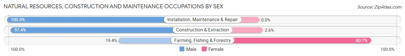 Natural Resources, Construction and Maintenance Occupations by Sex in Zip Code 15701