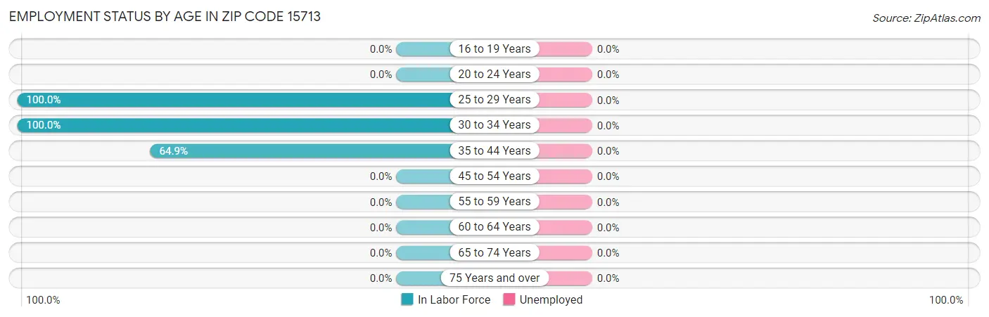 Employment Status by Age in Zip Code 15713