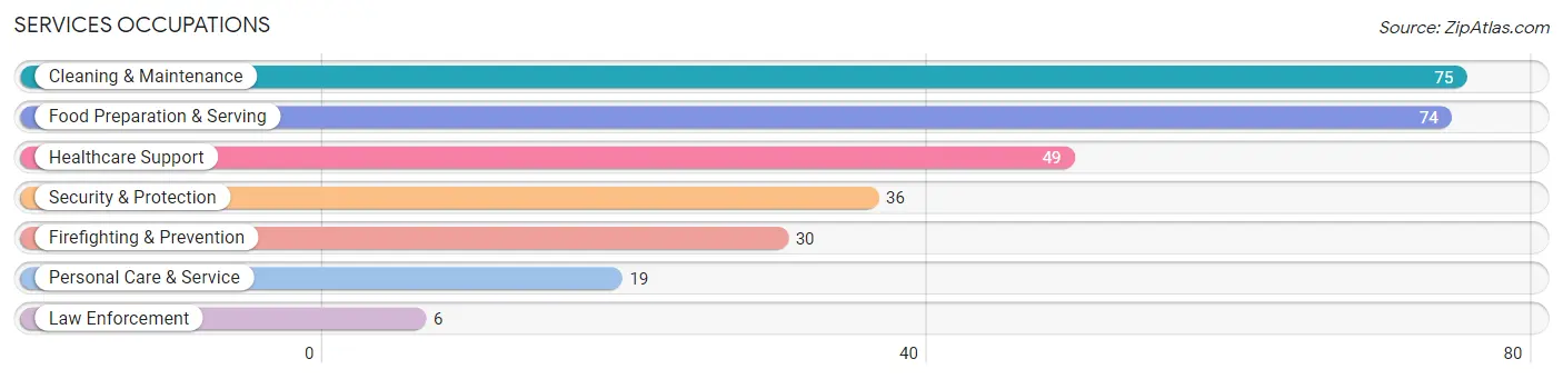 Services Occupations in Zip Code 15728