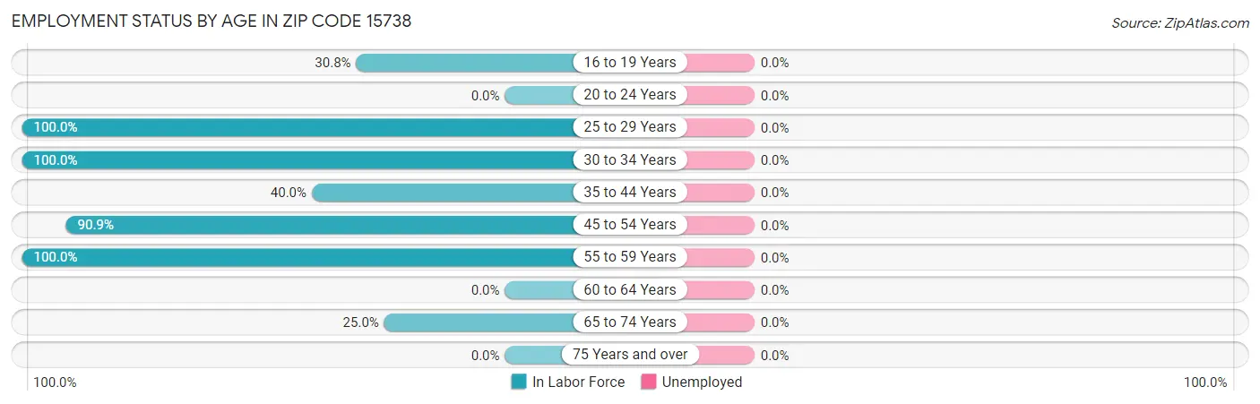 Employment Status by Age in Zip Code 15738