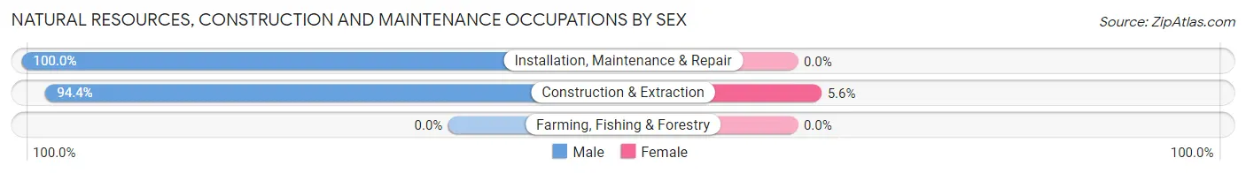 Natural Resources, Construction and Maintenance Occupations by Sex in Zip Code 15748