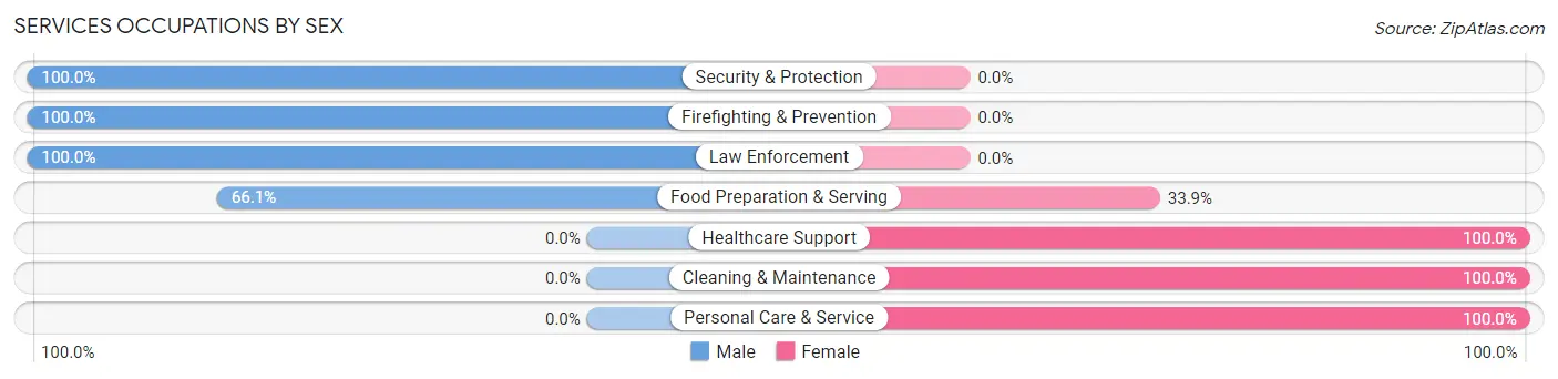 Services Occupations by Sex in Zip Code 15772