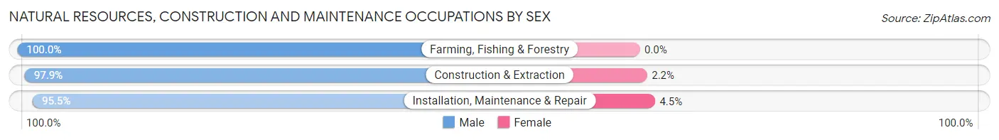 Natural Resources, Construction and Maintenance Occupations by Sex in Zip Code 15825