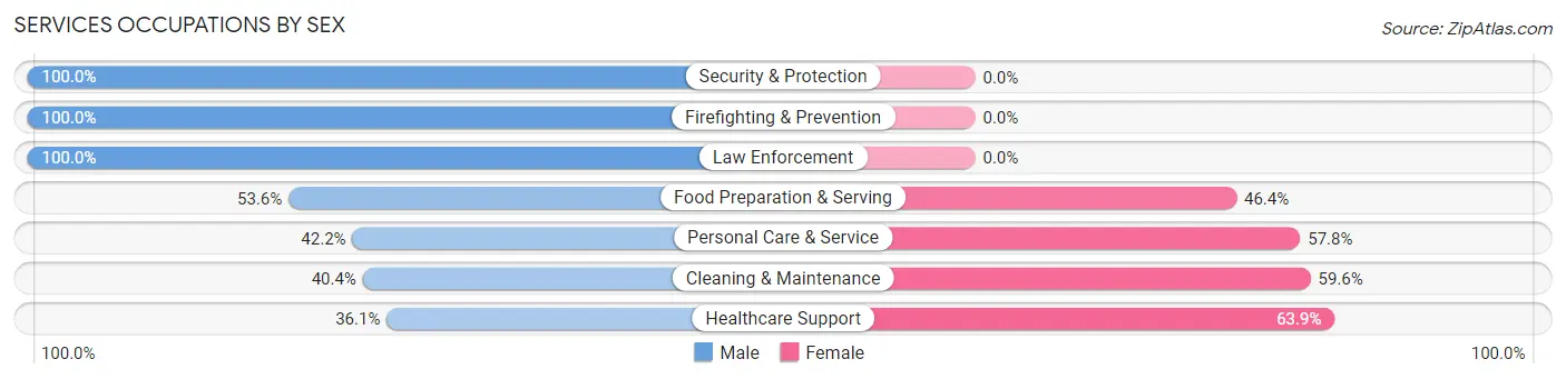 Services Occupations by Sex in Zip Code 15834
