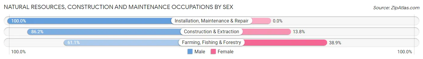 Natural Resources, Construction and Maintenance Occupations by Sex in Zip Code 15851
