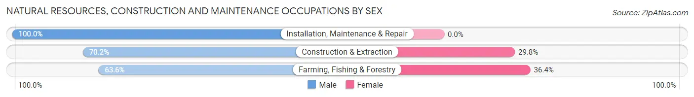 Natural Resources, Construction and Maintenance Occupations by Sex in Zip Code 15853
