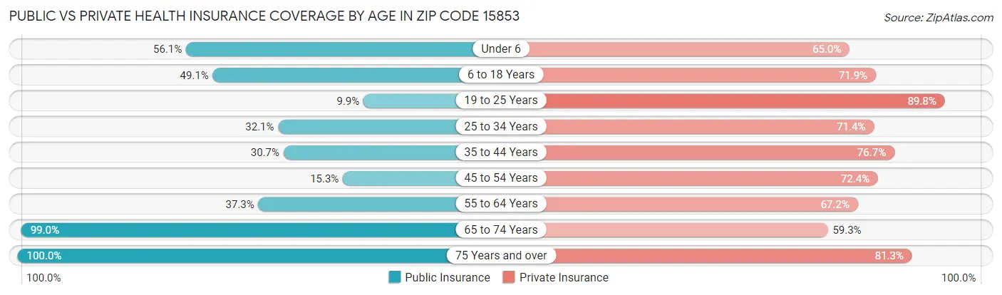 Public vs Private Health Insurance Coverage by Age in Zip Code 15853