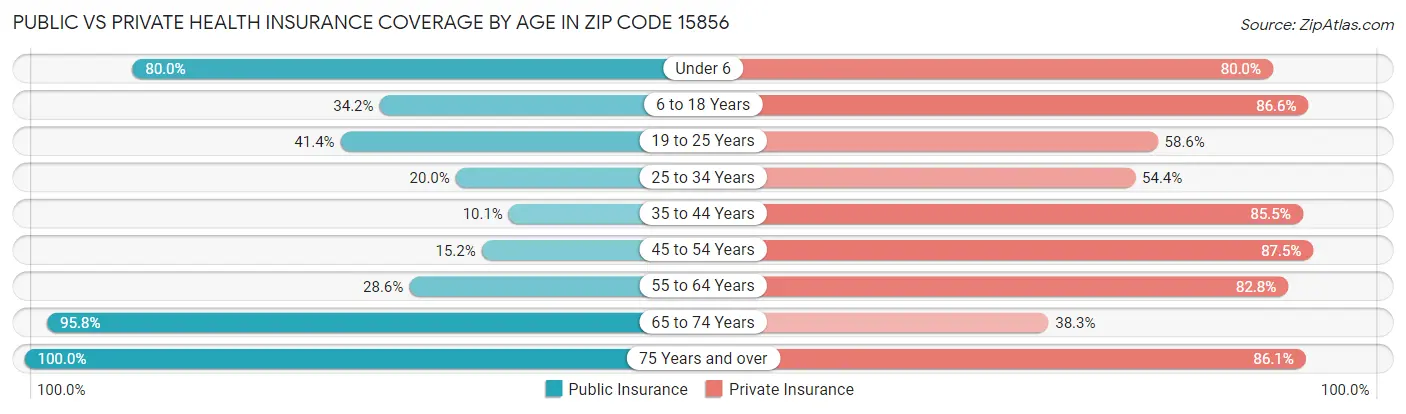 Public vs Private Health Insurance Coverage by Age in Zip Code 15856