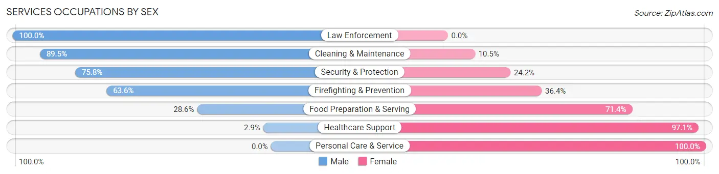 Services Occupations by Sex in Zip Code 15860