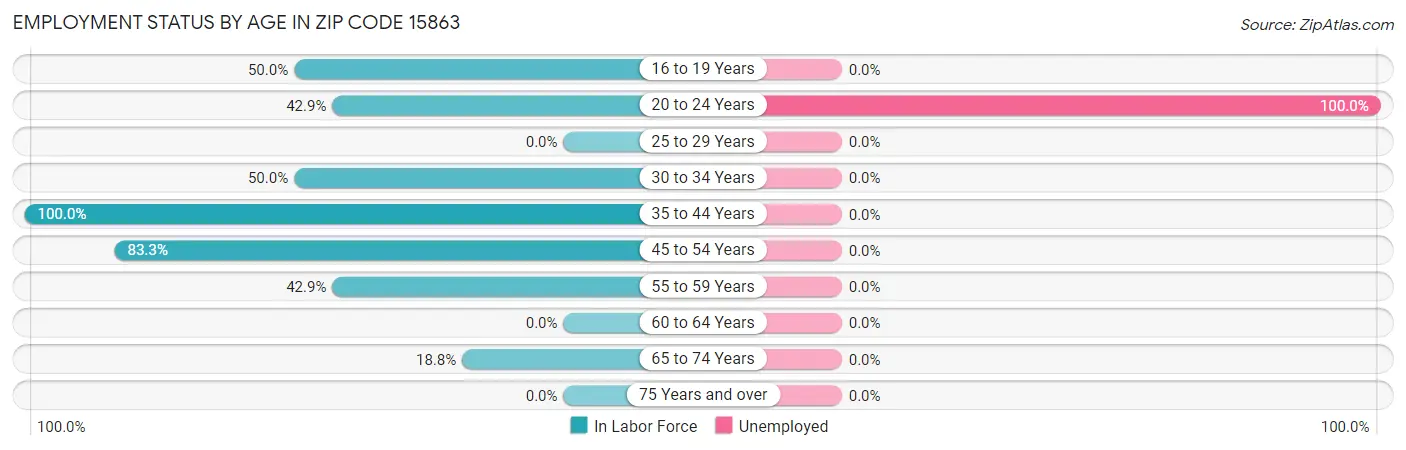 Employment Status by Age in Zip Code 15863